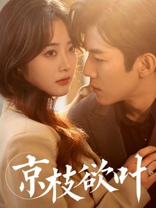 短剧《京枝欲叶（80集）浅柔》全集免费在线观看