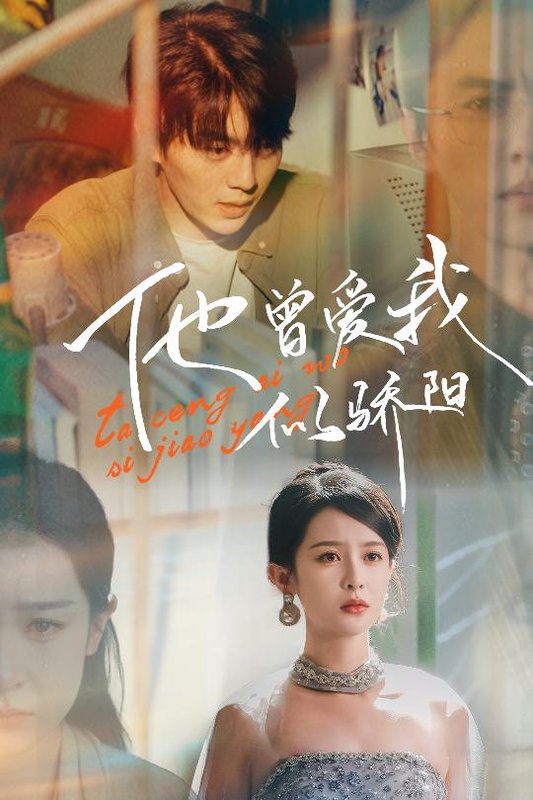 短剧《他曾爱我似骄阳（31集）王蔼玲》全集免费在线观看