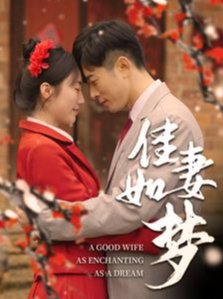 短剧《佳妻如梦（62集）》全集免费在线观看