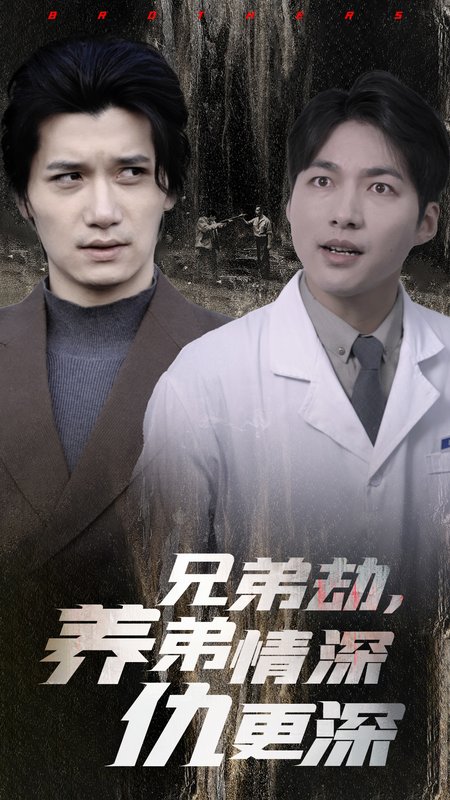 短剧《兄弟劫养弟情深仇更深（28集）》全集免费在线观看