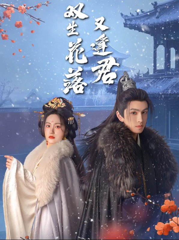 短剧《双生花落又逢君（66集）林可汉＆白雪茹》全集免费在线观看