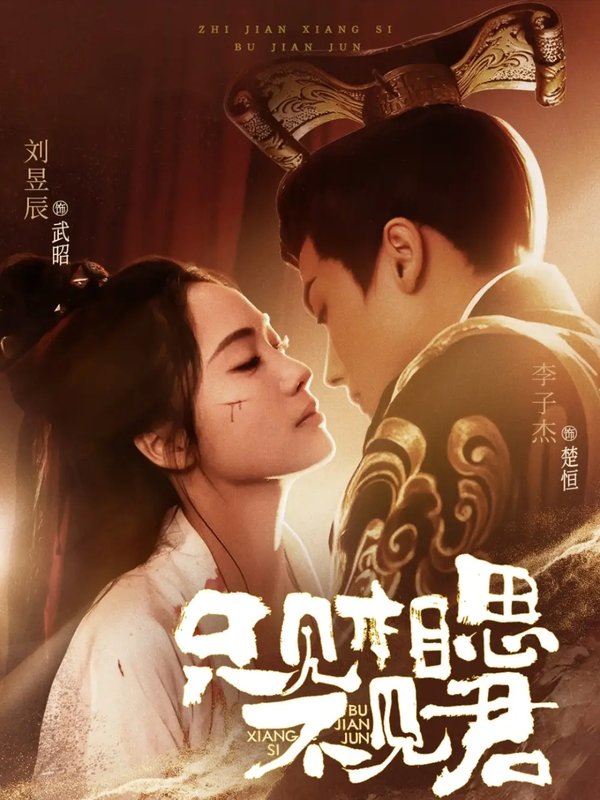 短剧《只见相思不见君（82集）李子杰＆刘昱辰》全集免费在线观看