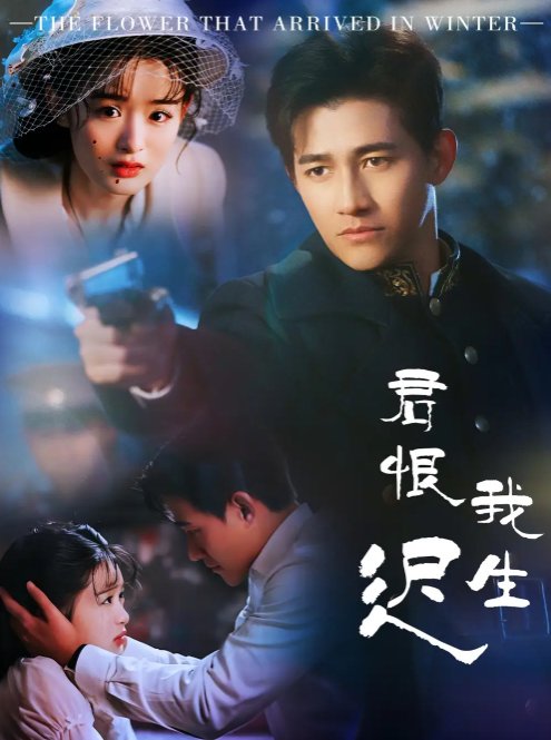 短剧《君恨我生迟（司令府就是我的家）（60集）李子锋＆李紫一》全集免费在线观看