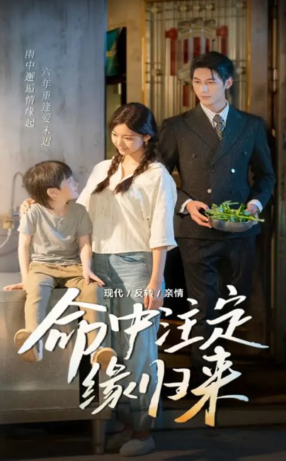 短剧《命中注定缘归来（63集）戚羽佳&马千欢》全集免费在线观看