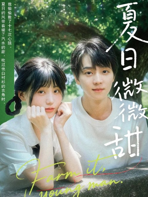短剧《夏日微微甜（79集）苏泽林＆宋澎澎》全集免费在线观看