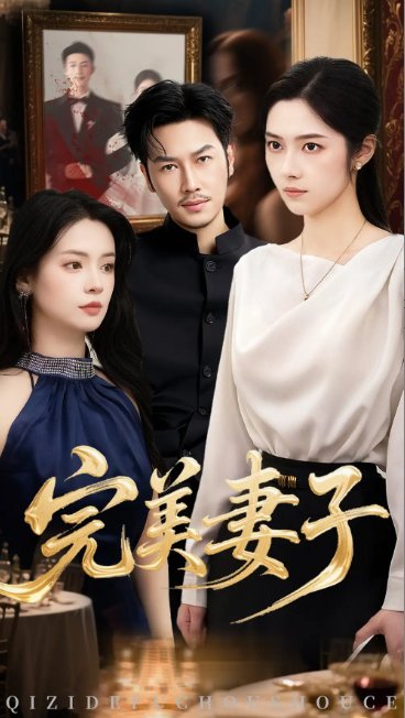 短剧《完美妻子 (40集) 刘容榕&李雯慧》全集免费在线观看