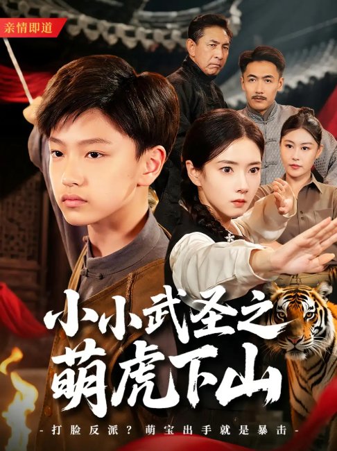 短剧《小小武圣之萌虎下山（62集）》全集免费在线观看
