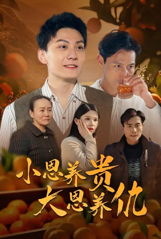 短剧《小恩养贵大恩养仇（34集）王子青》全集免费在线观看