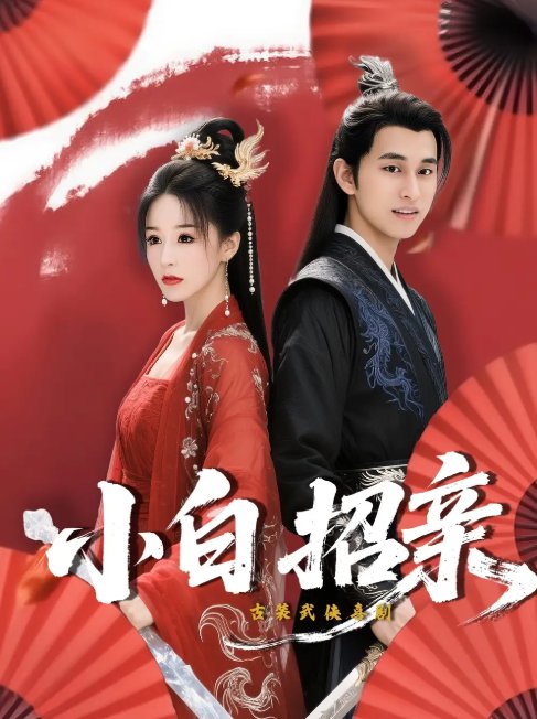 短剧《小白招亲 (78集) 菲儿》全集免费在线观看