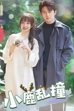 短剧《小鹿乱撞（40集）》全集免费在线观看