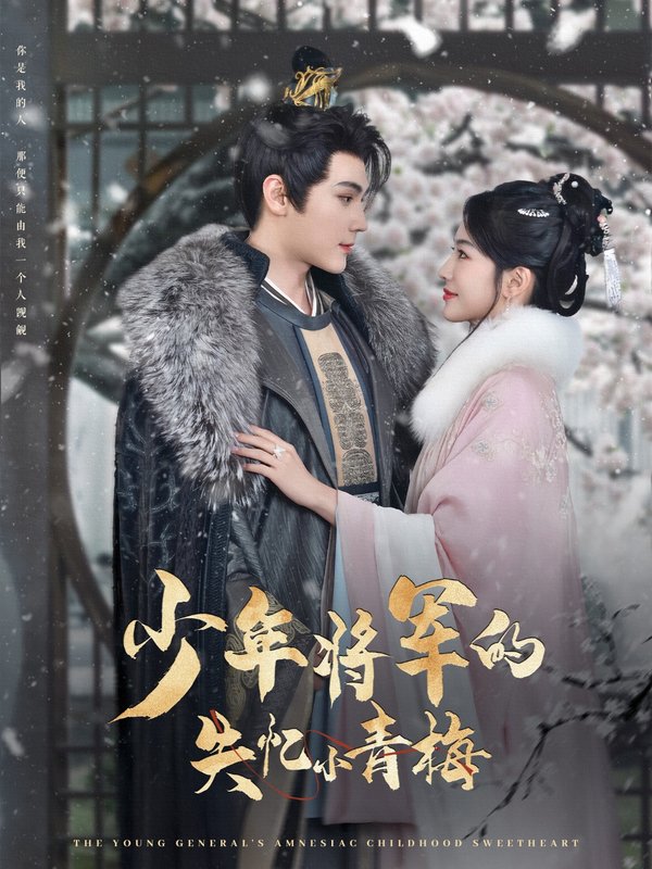 短剧《少年将军的失忆小青梅（100集）赵垣又＆牛湘鹭》全集免费在线观看