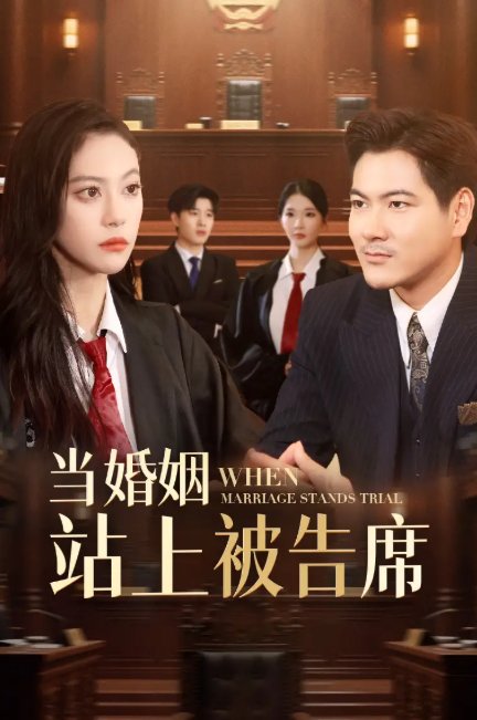 短剧《当婚姻站上被告席（30集）刘林&刘涵飞》全集免费在线观看