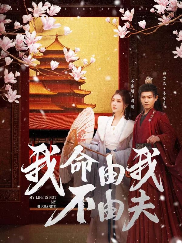短剧《我命由我不由夫（75集）白方文&石雪婧》全集免费在线观看