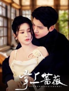 短剧《掌上蔷薇（46集）冯思源  严雯丽》全集免费在线观看