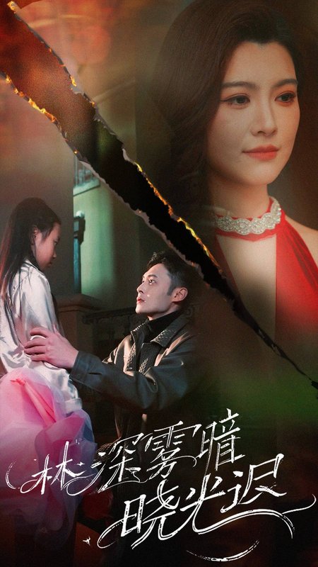 短剧《林深雾暗晓光迟（50集）陈孟奇》全集免费在线观看