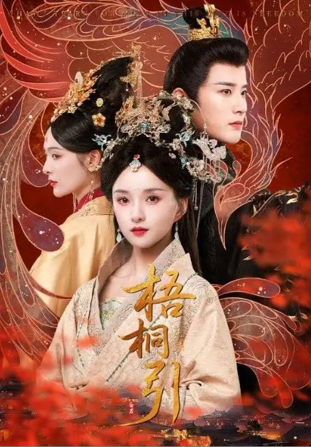 短剧《梧桐引（70集）索菲》全集免费在线观看