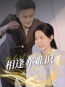 短剧《相逢亦难识（50集）》全集免费在线观看