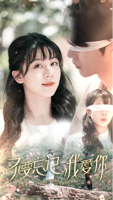 短剧《不要忘记我爱你（69集全）》免费观看
