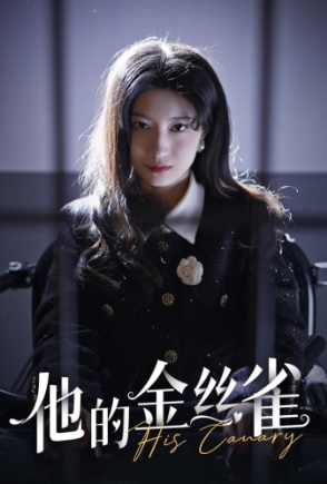 短剧《他的金丝雀（80集全）》免费观看