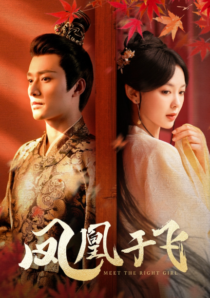 短剧《凤凰于飞（79集全）》免费观看