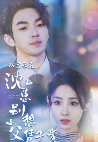 短剧《双宝来袭，沈总别想父凭子贵》全集免费观看