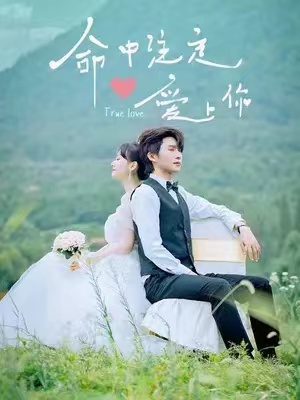 短剧《命中注定爱上你（96集全）》免费观看