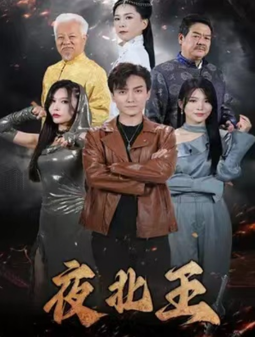 短剧《夜北王（76集全）》免费观看