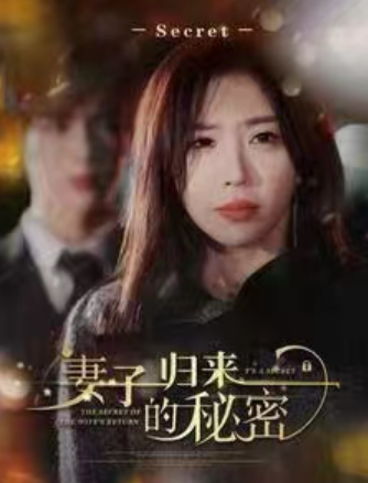 短剧《妻子归来的秘密(91集全)》免费观看