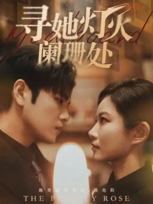 短剧《寻她灯火阑珊处（61集全）》免费观看