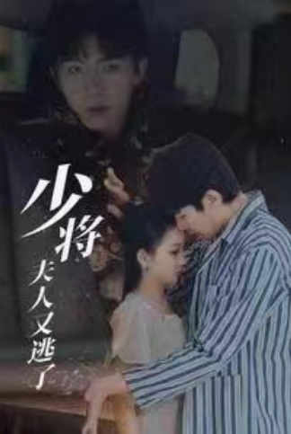 短剧《少将夫人又逃了（少将大人求放过）85集全》免费观看