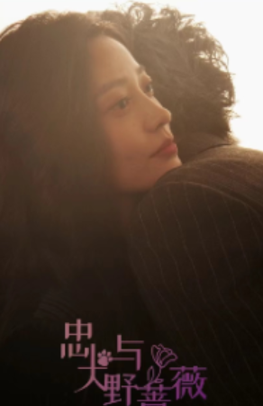 短剧《忠犬与野蔷薇（67集全）》免费观看