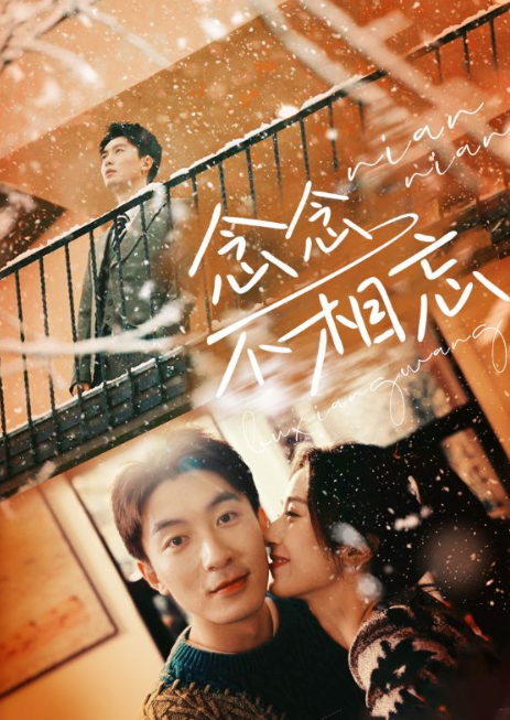 短剧《念念（念念不相忘）》1-95全集免费观看