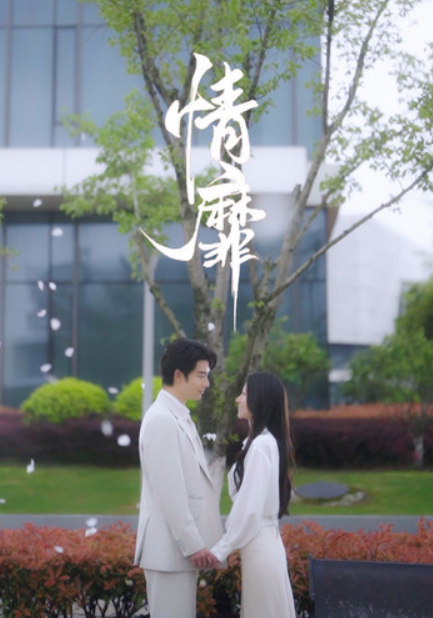 短剧《情靡（92集全）》免费观看