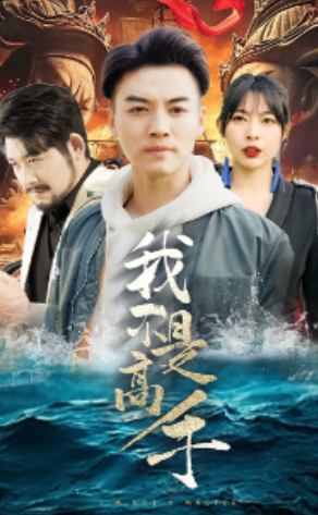 短剧《我不是高手（82集全）》免费观看