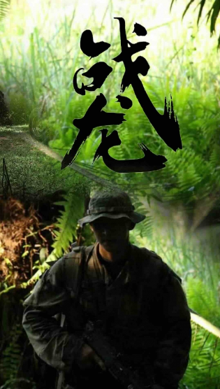 短剧《战龙（100集全）》免费观看