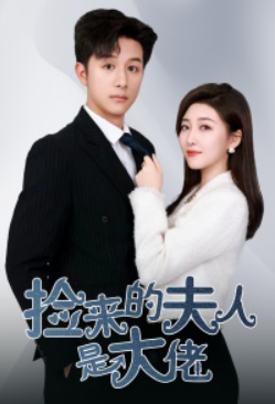 短剧《捡来的夫人是大佬（91集全）》免费观看