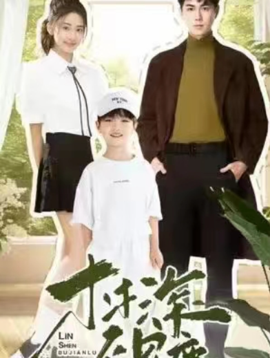 短剧《林深不见鹿》全集免费观看