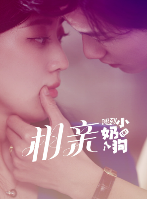 短剧《相亲遇到小奶狗（80集全）》免费观看