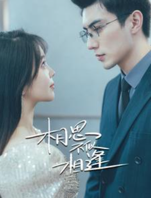 短剧《相思不似相逢(97集全）》免费观看