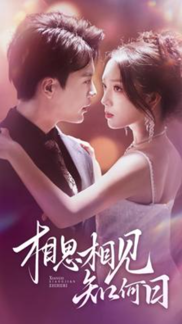短剧《相思相见知何日（81集全）》免费观看