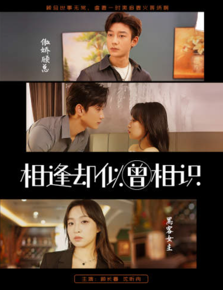 短剧《相逢却似曾相识（离婚后顾太太的马甲藏不住了）》全集免费观看