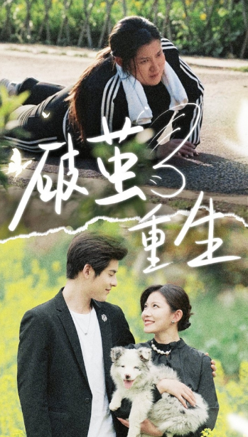 短剧《破茧重生（80集全）》免费观看