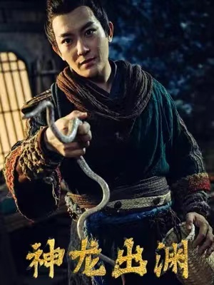 短剧《神龙出渊（65集）》全集完整版免费观看