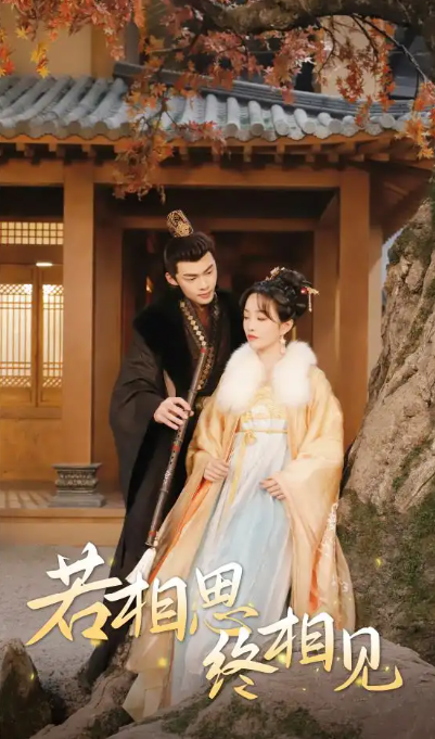 短剧《若相思，终相见&侯爷的双世小悍妻（85集全）》免费观看