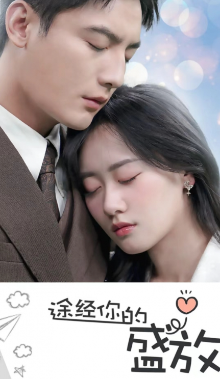 短剧《途径你的盛放(途经你的盛放)99集全》免费观看