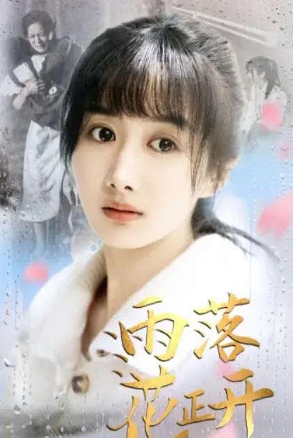 短剧《雨落花正开（62集全）》免费观看