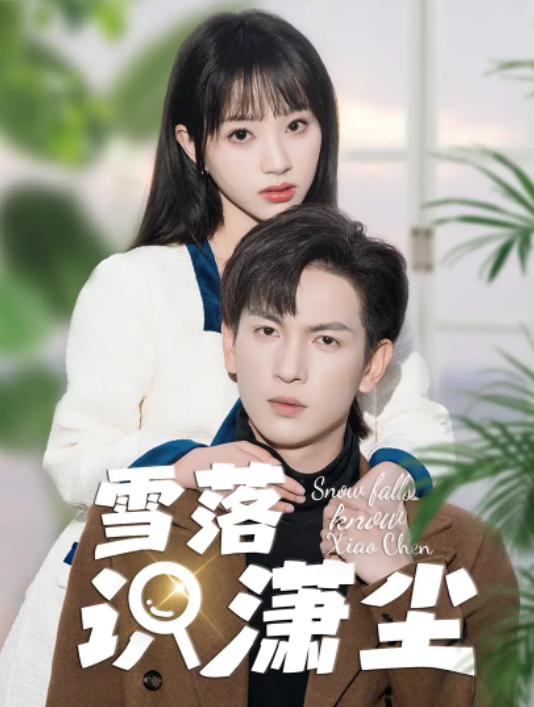短剧《雪落识潇尘（80集全）》免费观看
