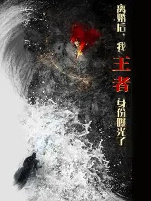 短剧《离婚后我王者身份曝光了（离婚后，我王者身份曝光了）（80集）廖芯&杨泽琳》全集免费在线观看