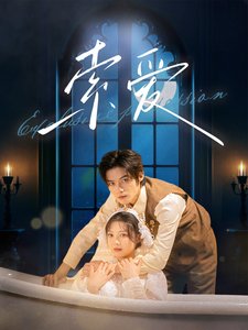 短剧《索爱（99集）彭瑶》全集免费在线观看