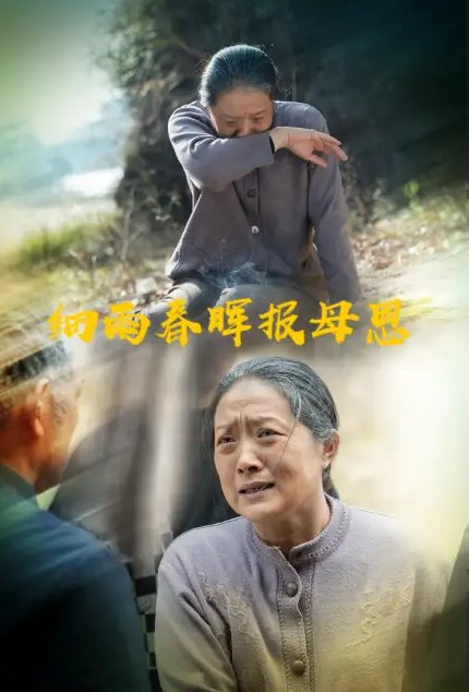 短剧《细雨春晖报母恩（30集）周婷&夏家顺》全集免费在线观看